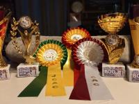 509aa82a-e144-4f62-909c-acc18343ba9d.jpeg 509aa82a-e144-4f62-909c-acc18343ba9d.jpeg