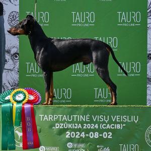 453871942_996421025612214_2141381809244371241_n.jpg 453871942_996421025612214_2141381809244371241_n.jpg